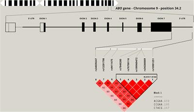 Allelic Variants Within the ABO Blood Group Phenotype Confer Protection Against Critical COVID-19 Hospital Presentation